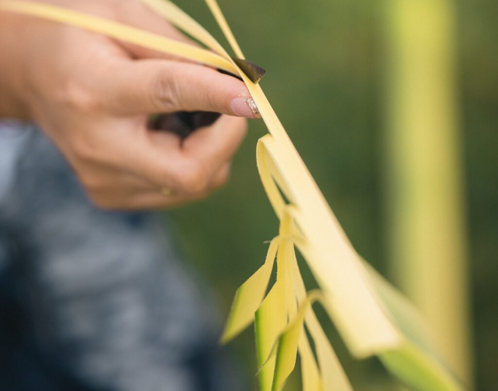 Hands cutting a young coconut leaf into a janur decoration used in Balinese ceremonies